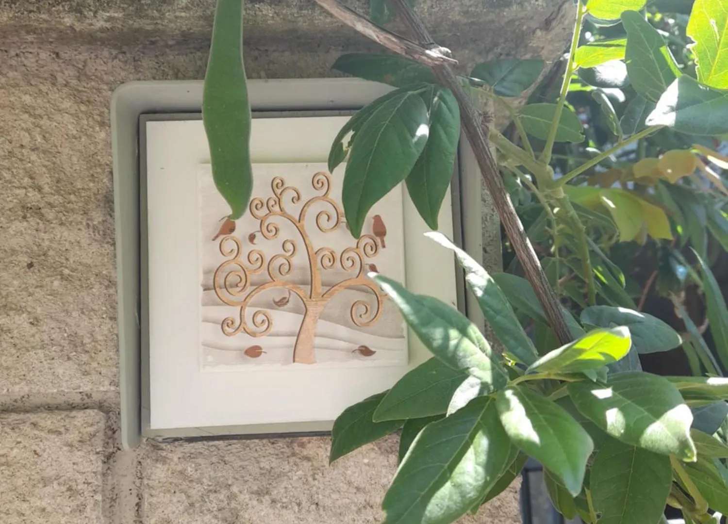 فندق Casa Dei Glicini فولّونيكا بيت ضيافة