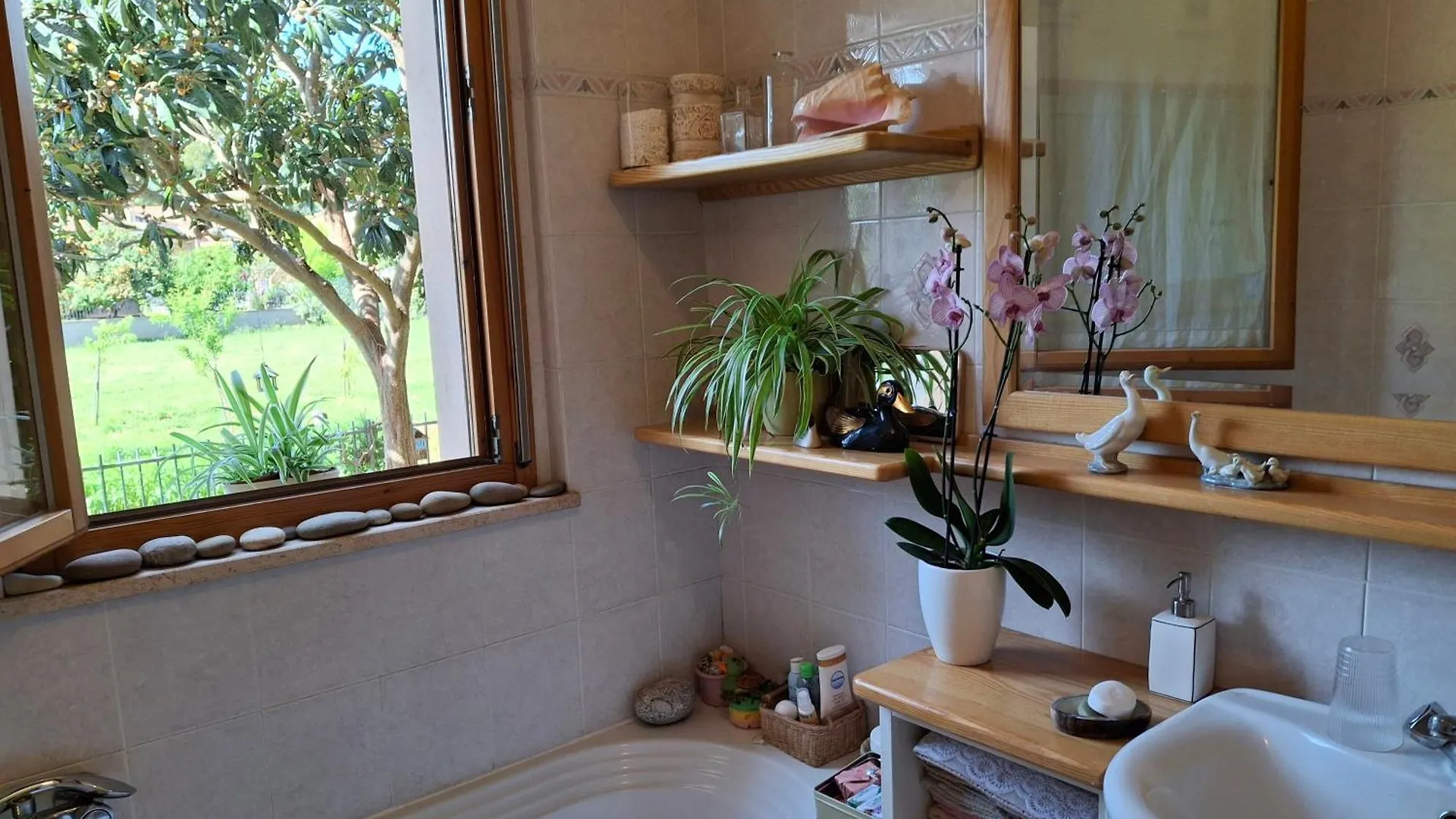 فندق Casa Dei Glicini فولّونيكا بيت ضيافة